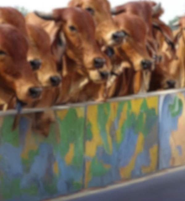 Untitled design (63)